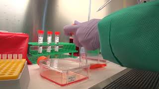 CDPH: Richmond Lab