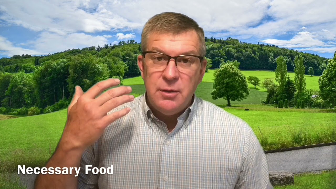 Every word of God - Deuteronomy 8:2-3