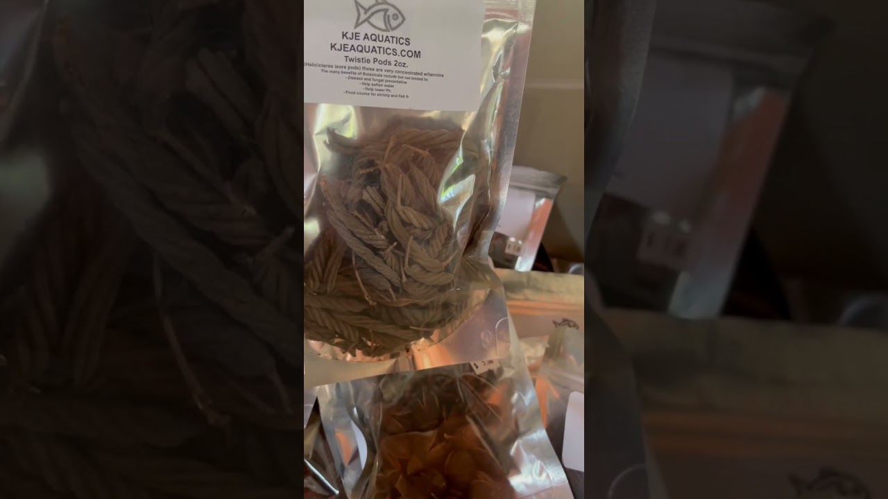 Prepping already for the 