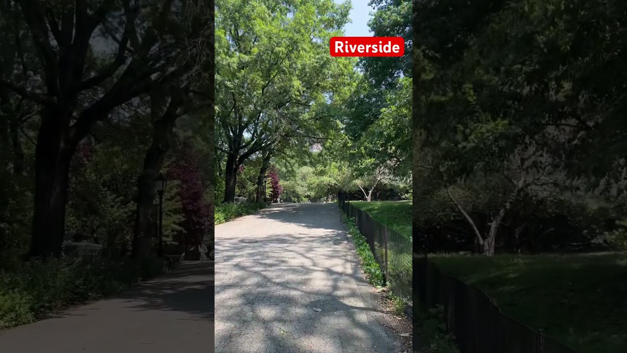 Stroll through Riverside Park in NYC 