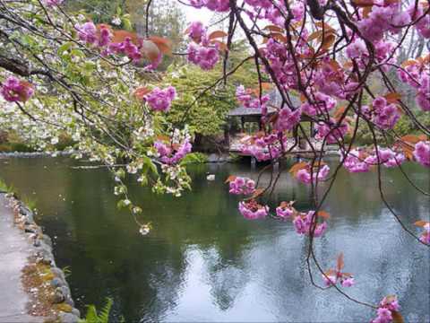 求婚大作戰_明天好天氣 Piano & Strings Version.wmv