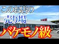 大阪一の園芸店に行ったらヤバすぎた