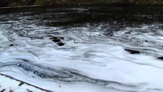Black River Foam (1 of 4)
