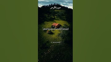 ما تيسر من سورة الزمر | القارئ سعد أزويت