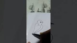 3=bird 🥳😘💫