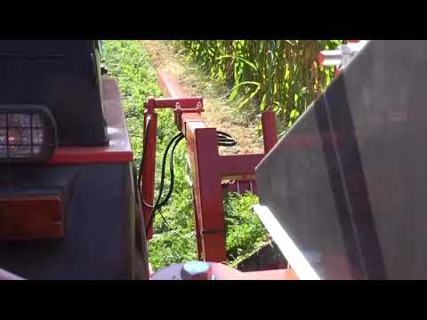 WEREMCZUK ALINA კომბაინი სტაფილოს, მწვანილების, ჭარხლის და ა.შ.