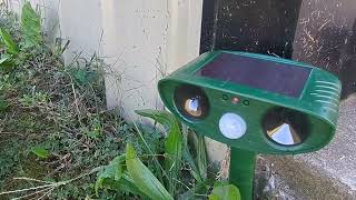 Solar Ultrasonic Animal Repellent, Cat Raccoon Repellent Outdoor with Motion Detection Waterproof Re