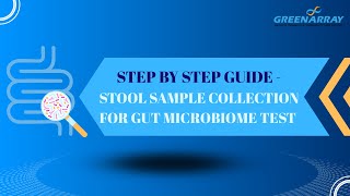 Step by Step Stool Sample Collection Guide for Gut Microbiome Analysis