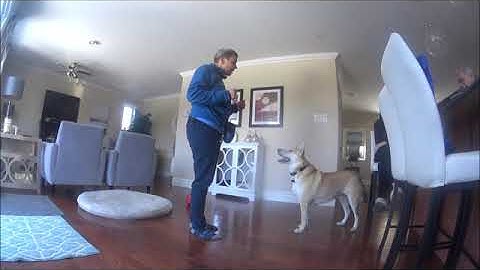 Marker based training:  charging the word and adding a behavior