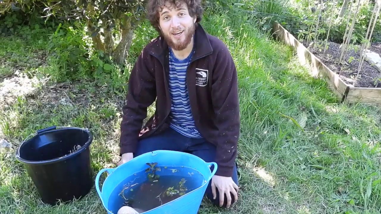 Make a Bucket Pond for your Garden 💦 🐸 🐌 YouTube
