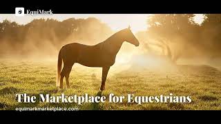 EquiMark Marketplace - Equestrian Buy/Sell Destination