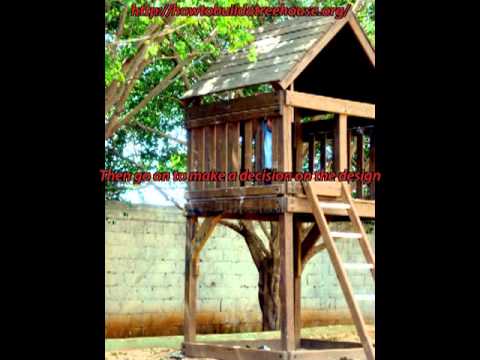 How to Build  a Treehouse Various reliable Tree House  