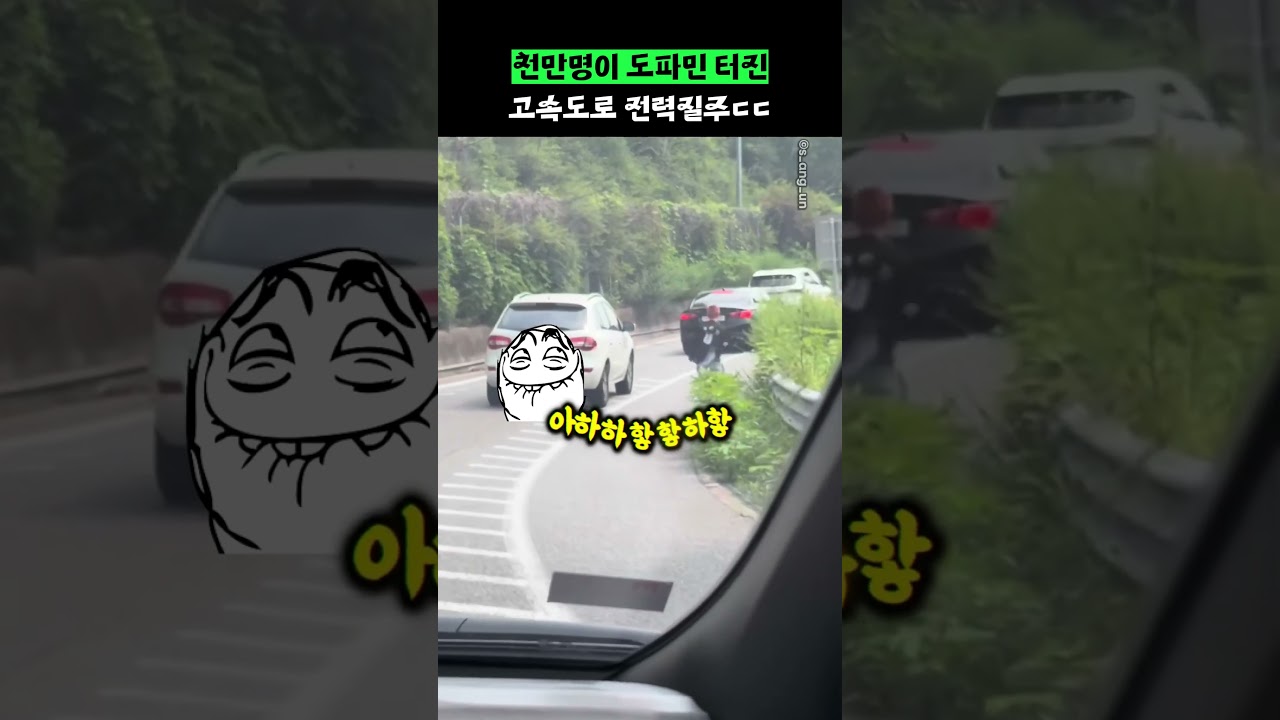 천만명이 도파민 터진 고속도로 전력질주ㄷㄷ