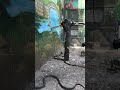 #indore zoo #snakevideo