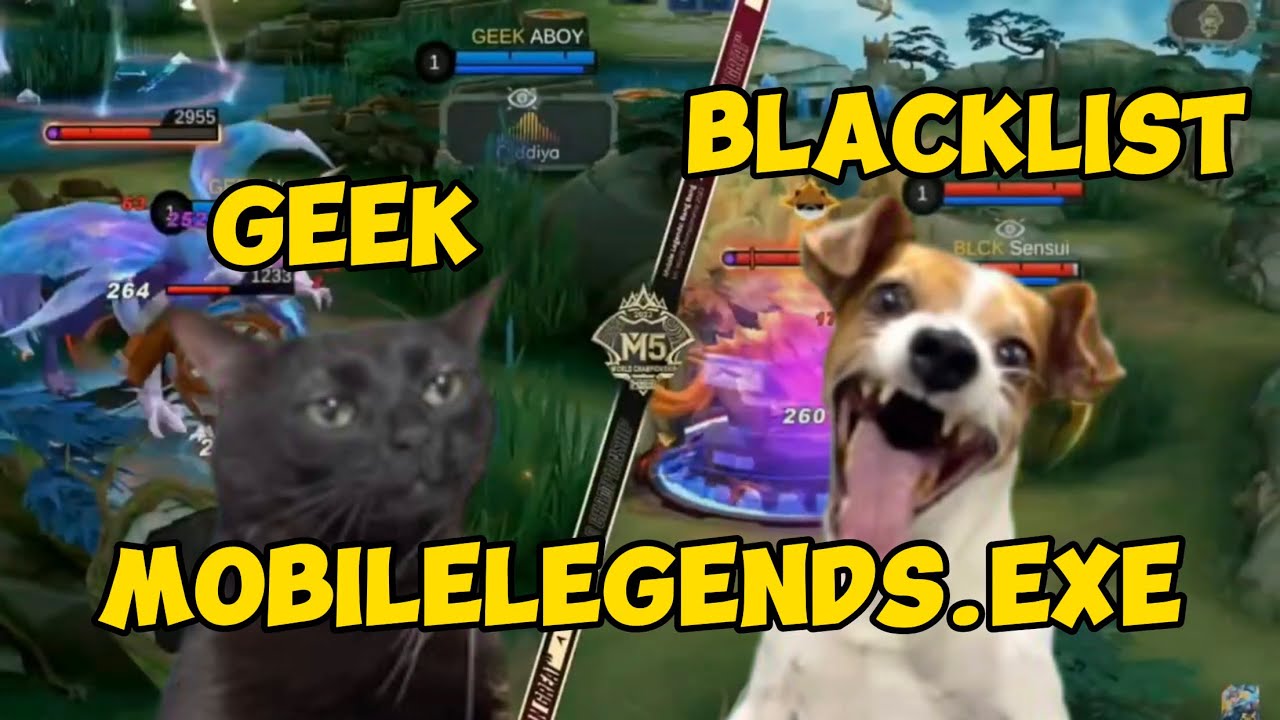 Mobilelegends.exe | geek vs blacklist