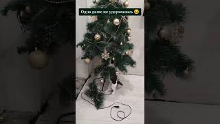 а обещали что не будут ронять 🎄🎄🎄