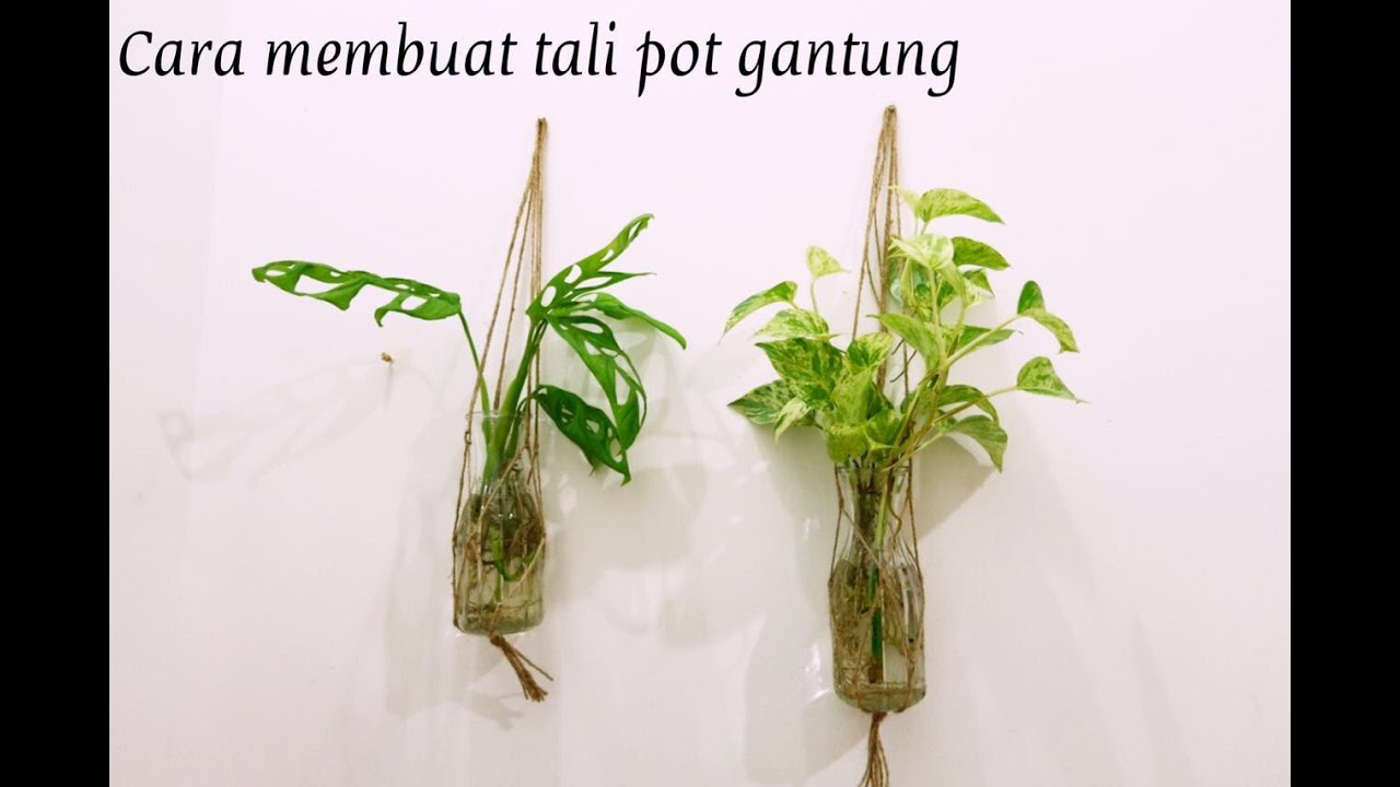 Cara membuat tali  pot  gantung  vlog62 YouTube