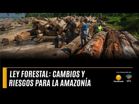 Giesecke y Dourojeanni, expertos en temas forestales advierten amenazas para conservación de bosques