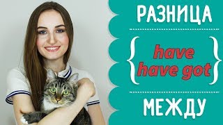 Разница между HAVE и HAVE GOT - English Spot Разница между HAVE и HAVE GOT - English Spot