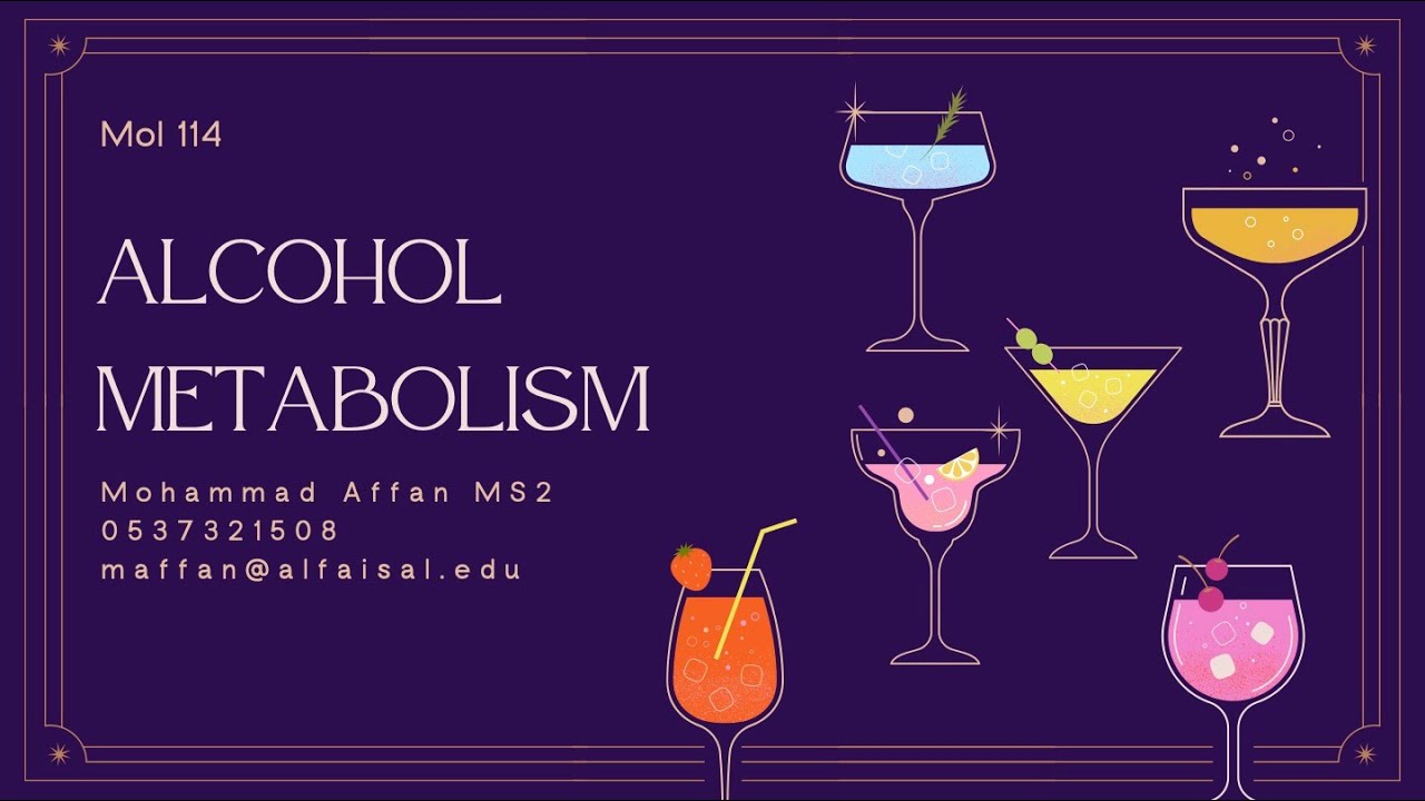 Alcohol Metabolism | Mohammad Affan | MOL 114