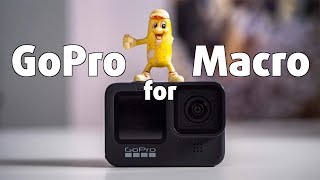 CAN YOU FILM MACRO WITH A GoPro?!