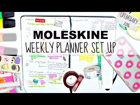 Заполняем ежедневник MOLESKINE вместе Февраль + планирование бюджета || MagisterOfBeauty