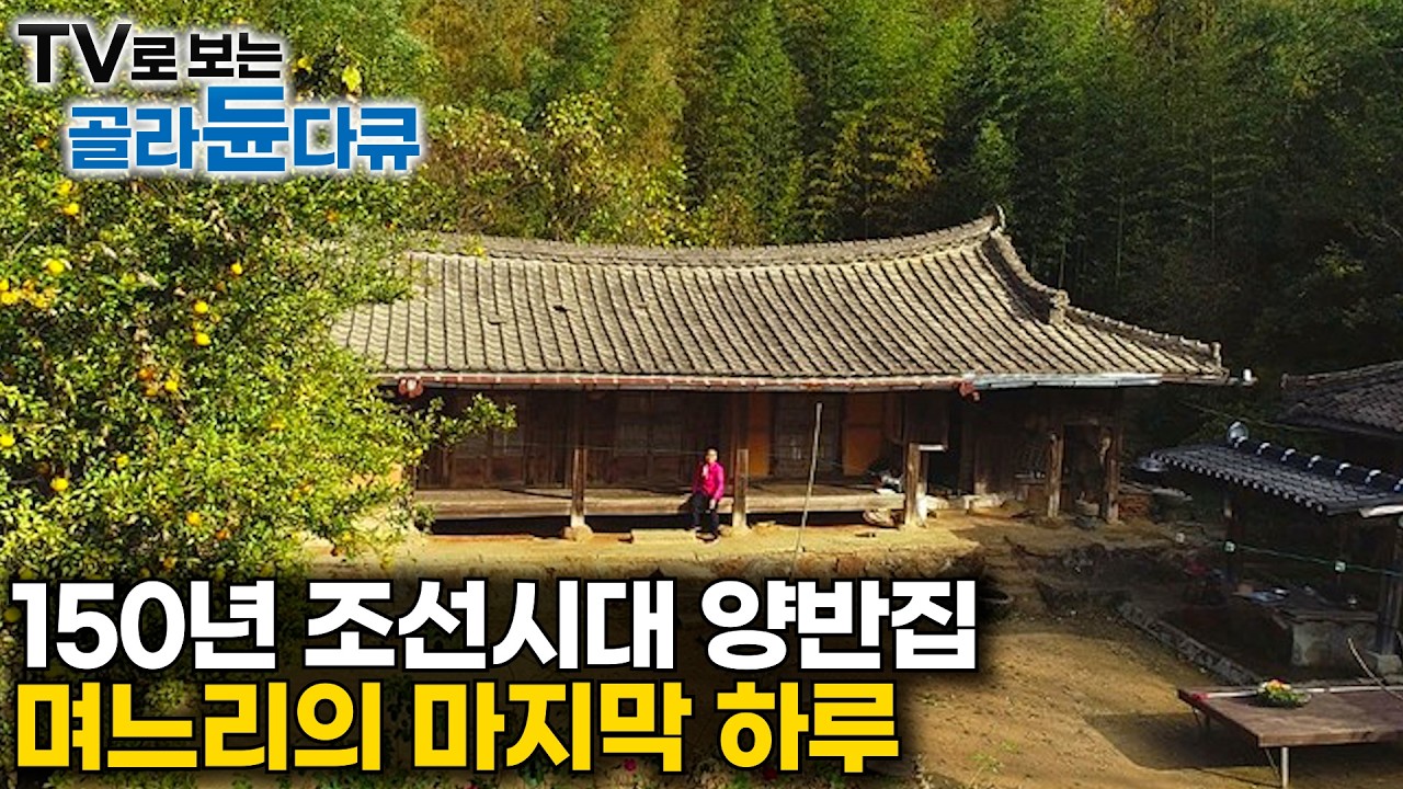 모두 다 떠나고 나 혼자 남았다｜150년 된 조선시대 양반집에 시집간 며느리의 마지막 하루｜한국기행 모음｜#골라듄다큐