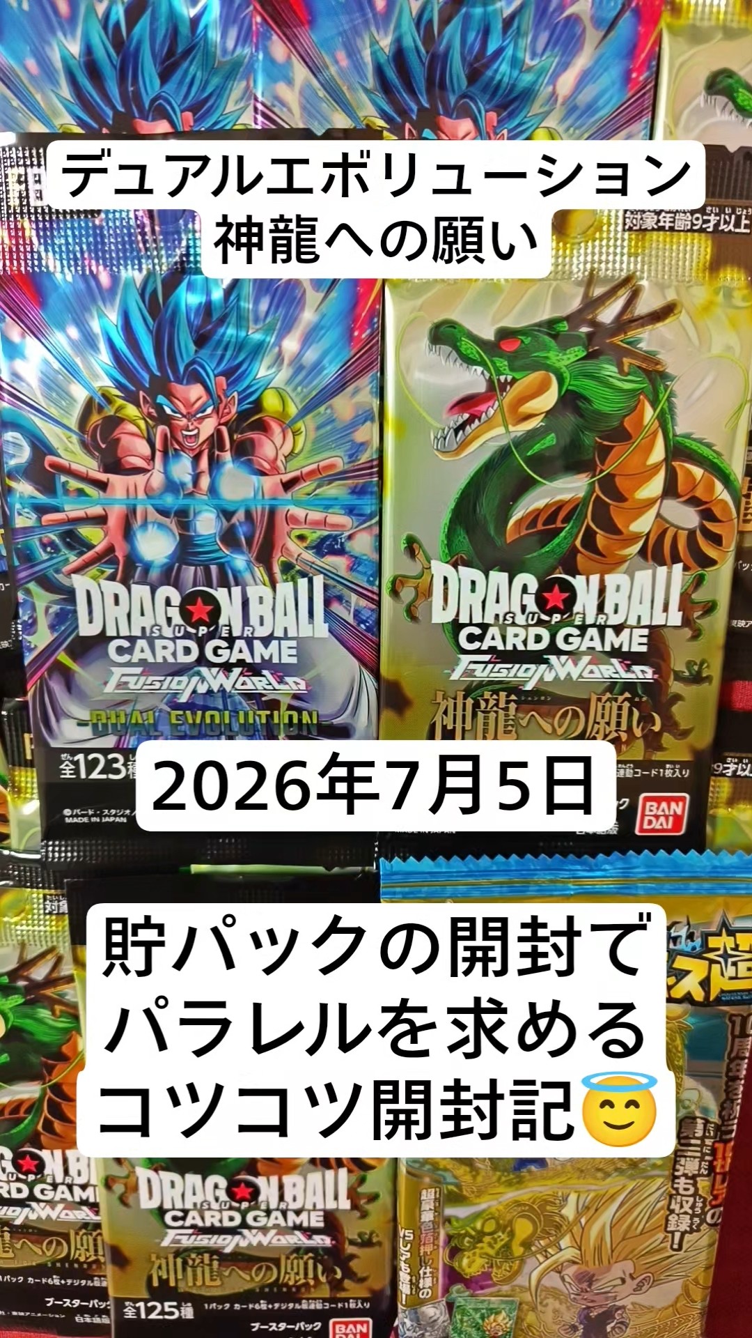 Dragon Ball FW unboxing! A slow and steady unboxing log hoping to