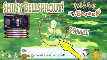 3 Shiny Bellsprout in ONE Stream! | Pokemon Lets Go Eevee