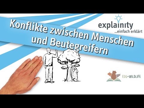 Video: Warum gibt es einen Konflikt zwischen Vermögensmaximierung und Gewinnmaximierung?