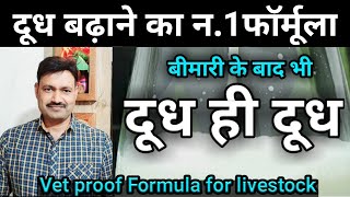 भैंस गाय का दूध बढ़ाने के लिए NO 1 देसी फार्मूला Buffalo Cow Milk kaise badhaye Ramawat