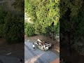El contenedor de basura – urban art clip, art video Barcellona, graffiti video