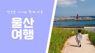 [여행 브이로그] 만3살 아들과 1박2일 울산여행, 울산 팜하우스 펜션, 베럴베이글바, 간절곶공원, 자수정동굴나라, 울산 아이와 가볼만한 곳