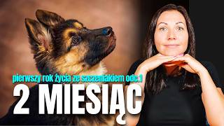 2-miesięczny szczeniak w domu — co robić od pierwszych dni?