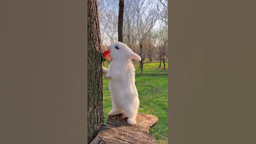 يمي يمي يمي يمي يمي 