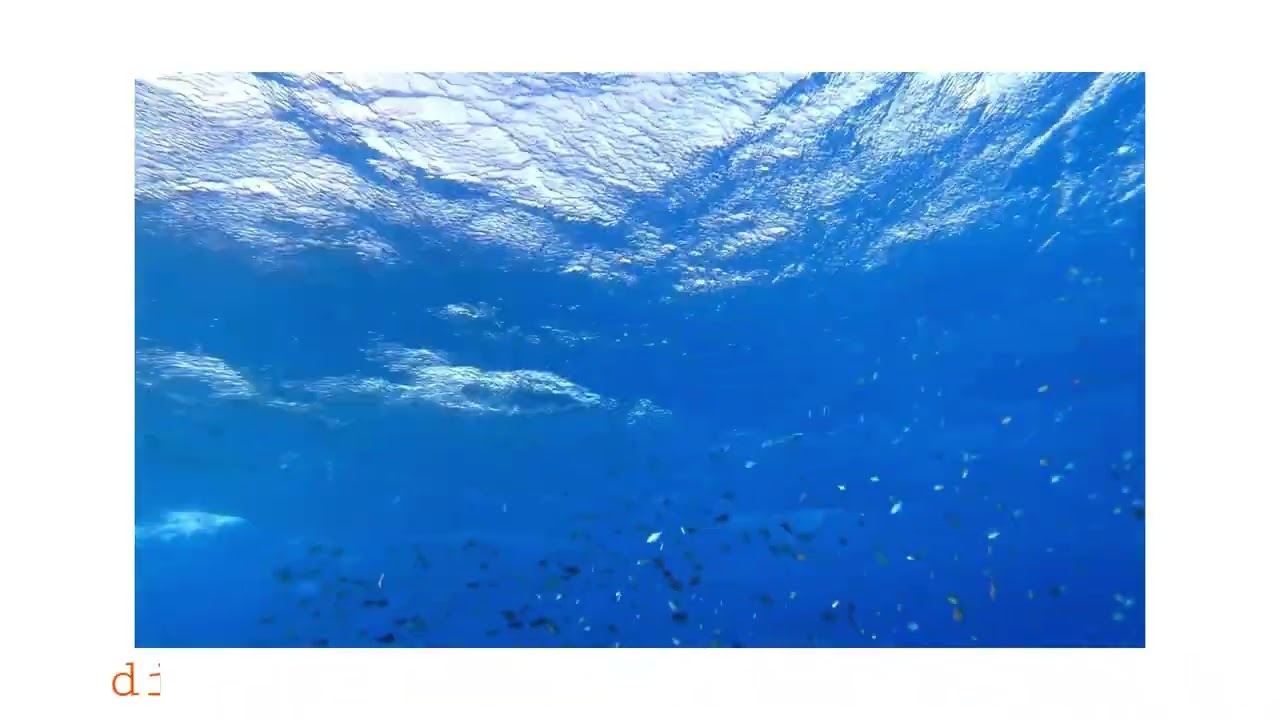 ALFIERO - La Paura (Visual)