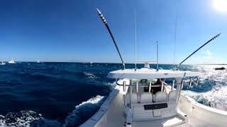 Bertram 39CC LW Inlet Outgoing Tide Seakeeper