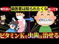 【歯医者いらず】 ビタミンKがもたらす虫歯の自然な解決法【ゆっくり食堂】