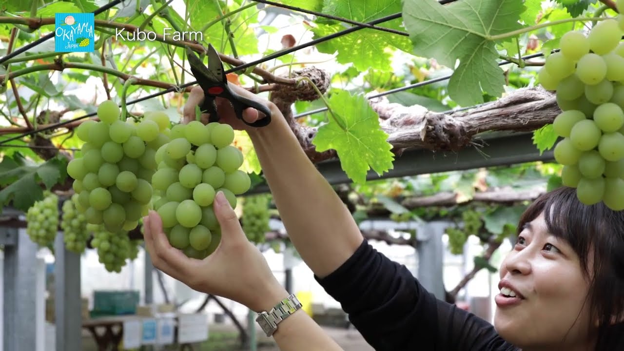 DISCOVER OKAYAMA JAPAN × West Japan Railway （英語）