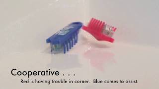 HEXbug Nano Slow Motion Study #C410d