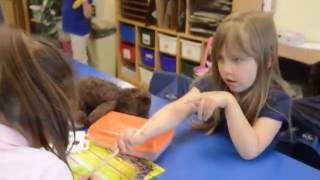 Mrs. Gray's Kindergarten Class - Mannequin Challenge