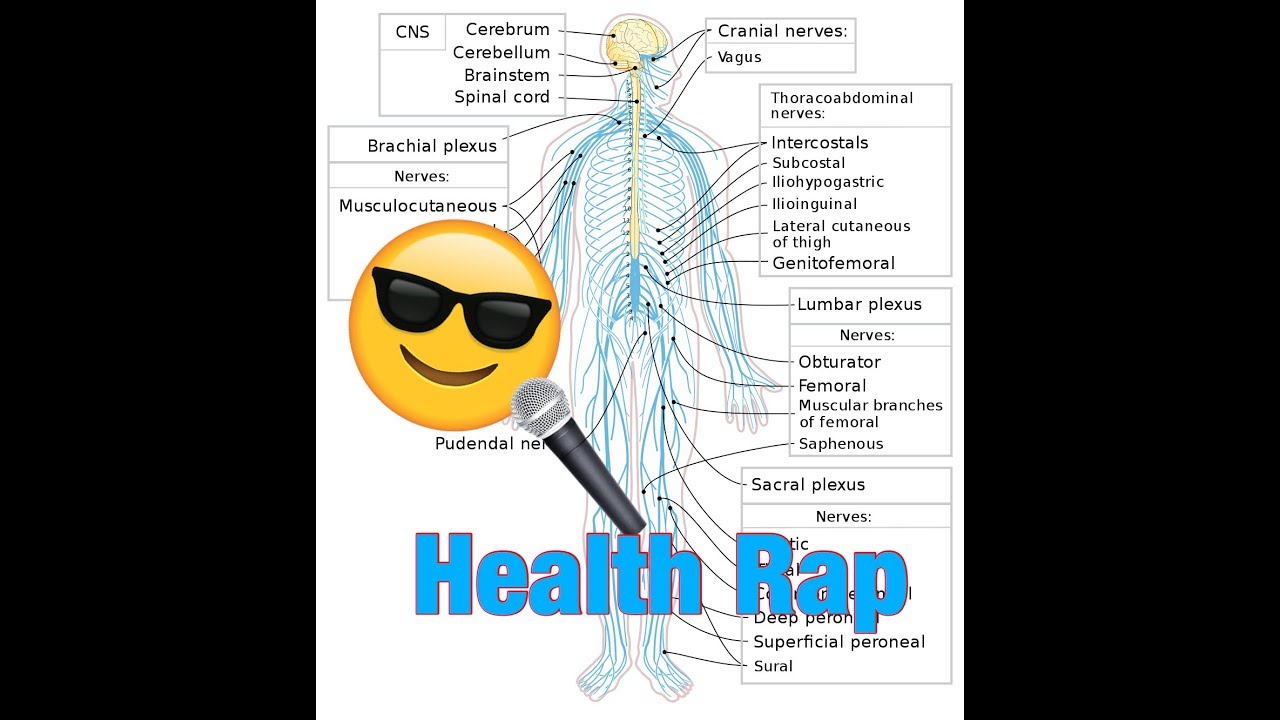 Health Rap at JJH - YouTube