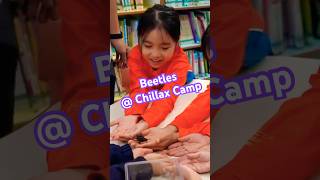 Publication Date: 2026-02-12 | Video Title: Chillax Camp | 親親野生動植物 | 保良局朱正