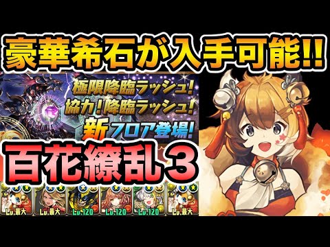 百花繚乱３ ヘキサゼオンなどの豪華希石が入手可能 百花繚乱３をミヤで攻略 極限降臨ラッシュ パズドラ Youtube