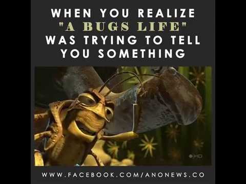 WHEN YOU REALIZE "A BUGS LIFE" WAS TRYING TO TELL YOU SOMETHING