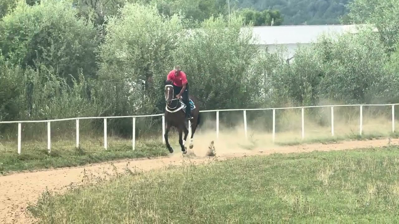 Impressive boy - Trening 16.7.2025