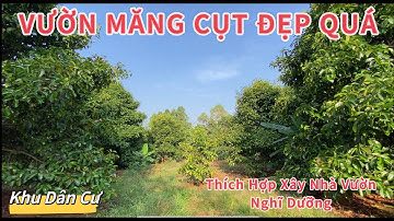 MÃNH VƯỜN MĂNG CỤT QUÁ ĐẸP ! THÍCH HỢP XÂY NHÀ VƯỜN, DÂN CƯ TẬP TRUNG.XÃ CÙ BỊ, HUYỆN CHÂU ĐỨC, BRVT