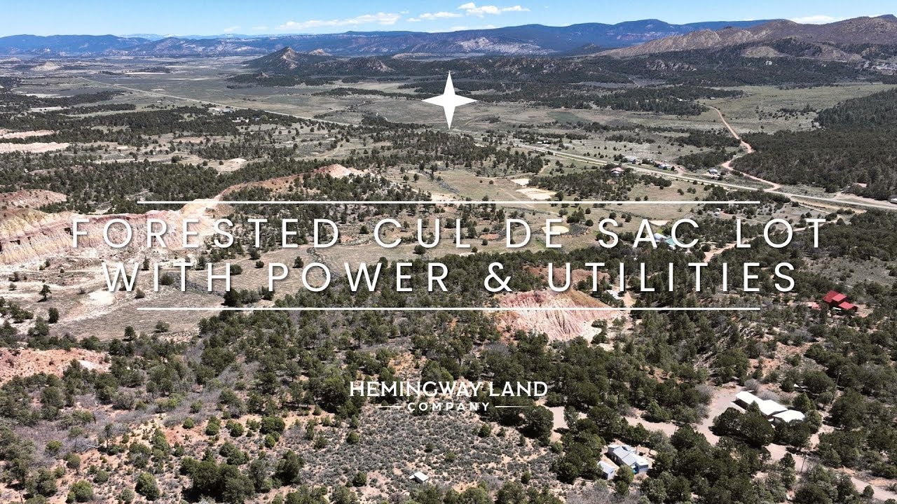 New Mexico Land For Sale 0.82 Acre Forested Cul De Sac Lot w/ Power