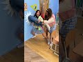 Hilarious Wall Prank Challenge 😂 #shorts