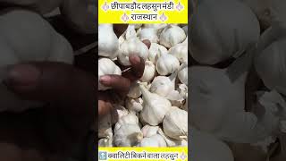 छीपाबड़ौद लहसुन मंडी 🧄 Nai ooty garlic rate today #chhipabarod #kisan #farming #lahsun #news #viral